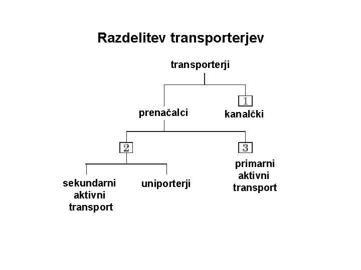 Razdelitev transporterji prenačalci sekundarni aktivni transport uniporterji kanalčki primarni aktivni transport 