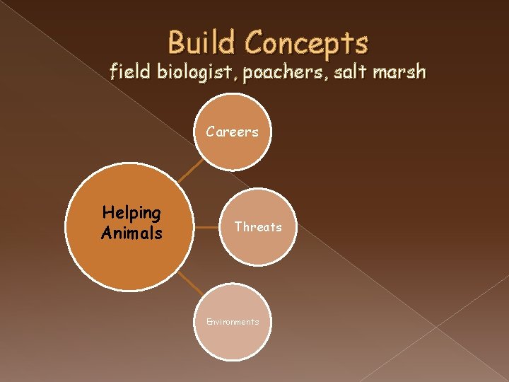 Build Concepts field biologist, poachers, salt marsh Careers Helping Animals Threats Environments 