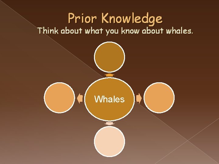 Prior Knowledge Think about what you know about whales. Whales 
