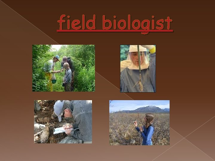 field biologist 