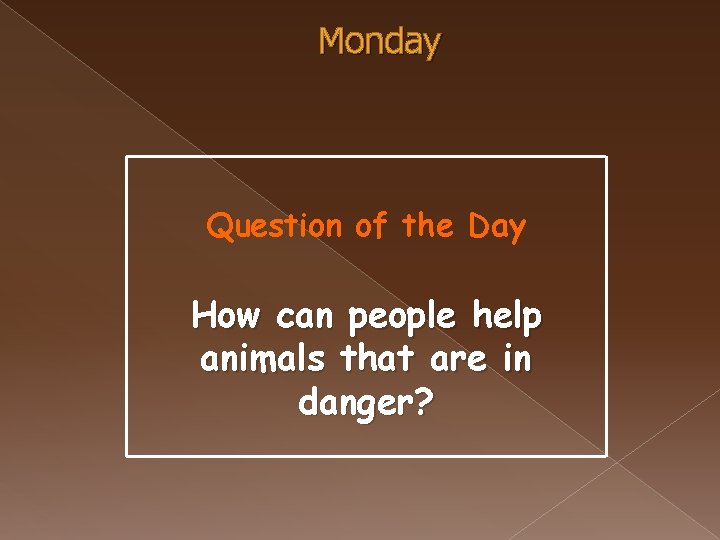 Monday Question of the Day How can people help animals that are in danger?