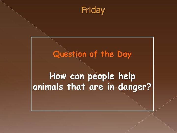 Friday Question of the Day How can people help animals that are in danger?