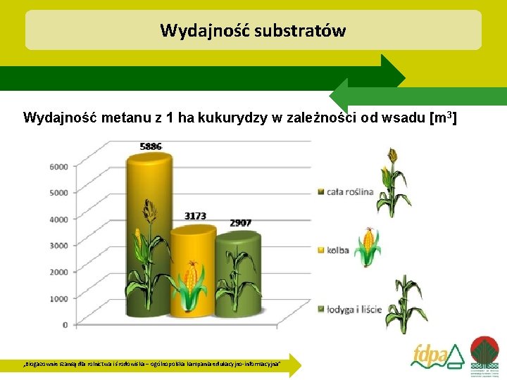 Wydajność substratów Wydajność metanu z 1 ha kukurydzy w zależności od wsadu [m 3]