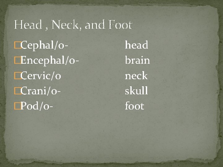 Head , Neck, and Foot �Cephal/o�Encephal/o�Cervic/o �Crani/o�Pod/o- head brain neck skull foot 