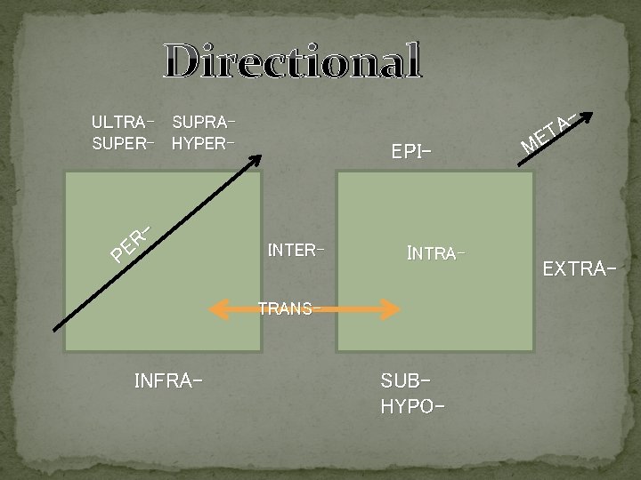Directional ULTRA- SUPRASUPER- HYPER- R PE EPI- INTER- INTRA- TRANS- INFRA- SUBHYPO- A T