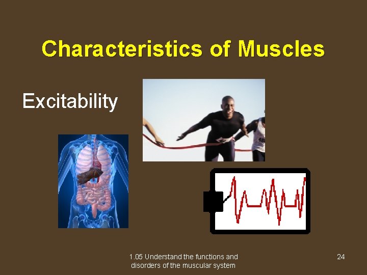 Characteristics of Muscles Excitability 1. 05 Understand the functions and disorders of the muscular