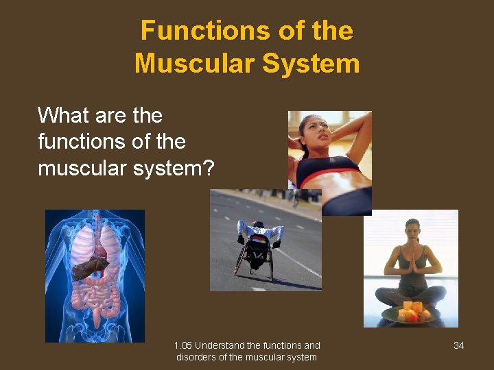 Functions of the Muscular System What are the functions of the muscular system? 1.