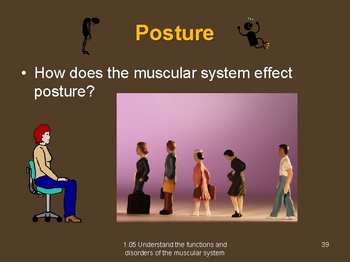 Posture • How does the muscular system effect posture? 1. 05 Understand the functions