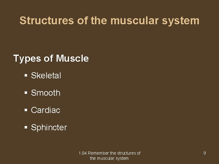 Structures of the muscular system Types of Muscle § Skeletal § Smooth § Cardiac