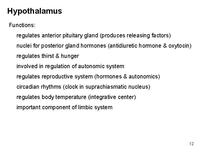 Hypothalamus Functions: regulates anterior pituitary gland (produces releasing factors) nuclei for posterior gland hormones