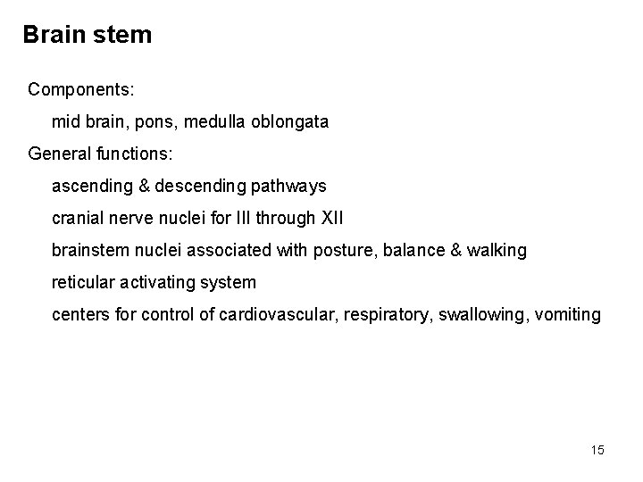 Brain stem Components: mid brain, pons, medulla oblongata General functions: ascending & descending pathways