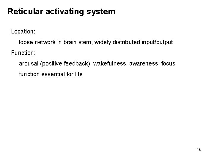 Reticular activating system Location: loose network in brain stem, widely distributed input/output Function: arousal