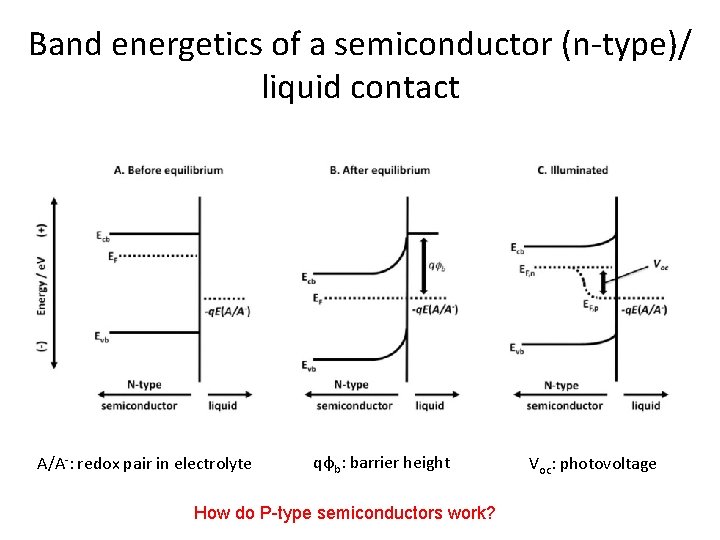 Band energetics of a semiconductor (n-type)/ liquid contact A/A-: redox pair in electrolyte qφb: