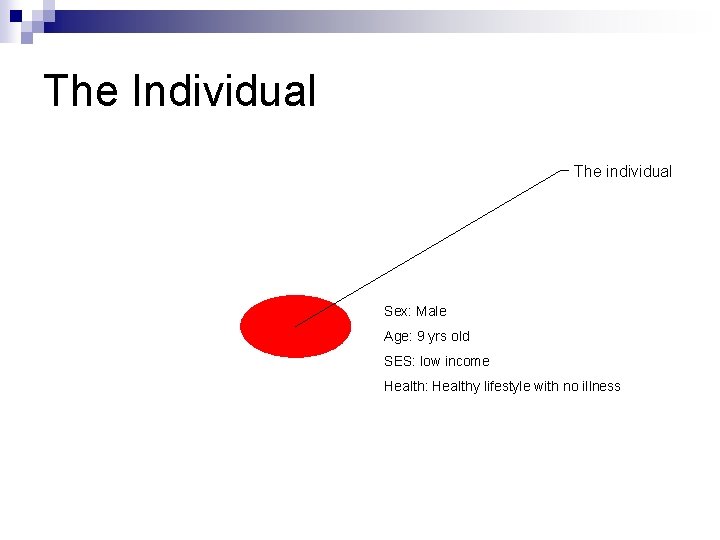 The Individual The individual Sex: Male Age: 9 yrs old SES: low income Health: