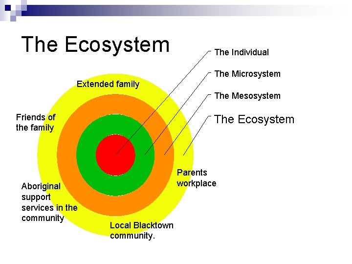 The Ecosystem The Individual The Microsystem Extended family The Mesosystem Friends of the family