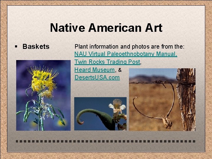 Native American Art § Baskets Plant information and photos are from the: NAU Virtual