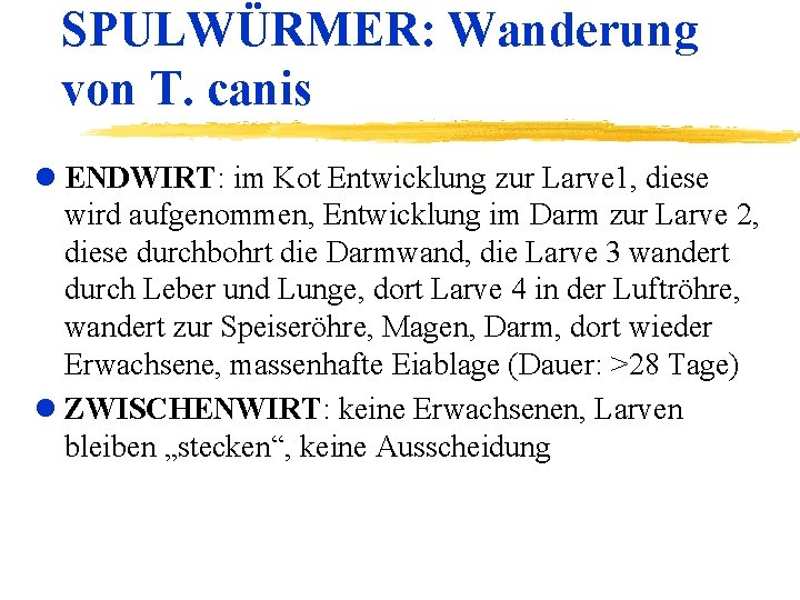 SPULWÜRMER: Wanderung von T. canis l ENDWIRT: im Kot Entwicklung zur Larve 1, diese