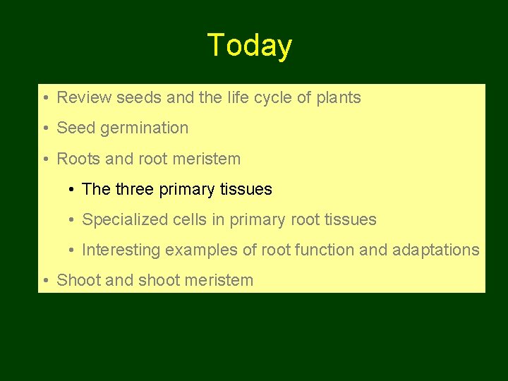 Today • Review seeds and the life cycle of plants • Seed germination •