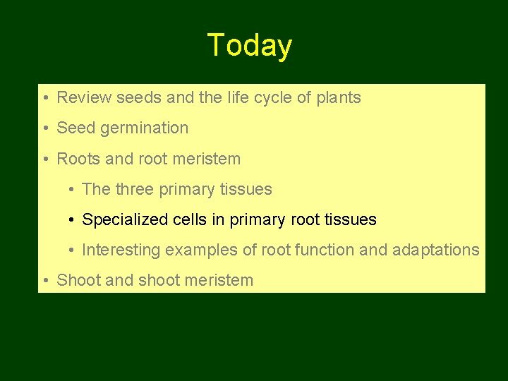 Today • Review seeds and the life cycle of plants • Seed germination •