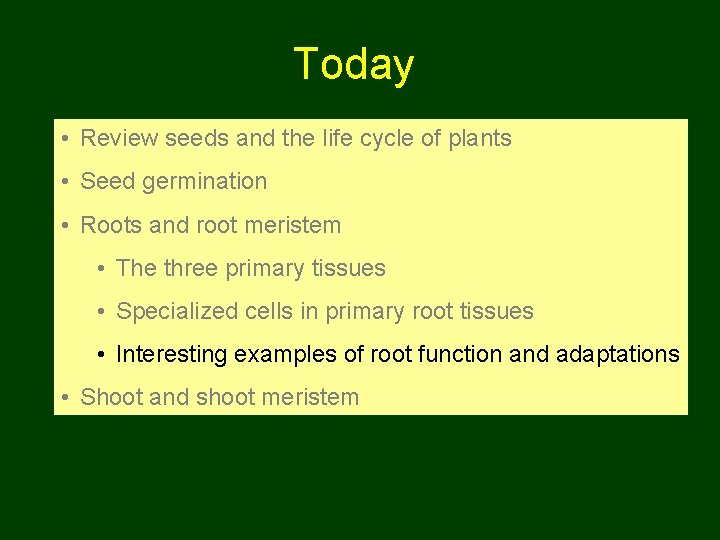 Today • Review seeds and the life cycle of plants • Seed germination •