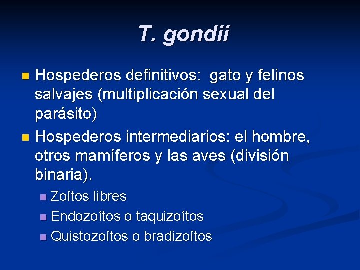 T. gondii Hospederos definitivos: gato y felinos salvajes (multiplicación sexual del parásito) n Hospederos