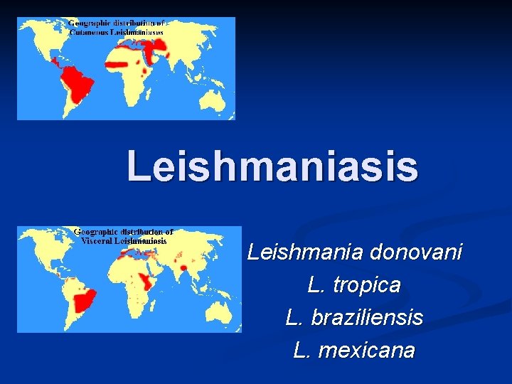 Leishmaniasis Leishmania donovani L. tropica L. braziliensis L. mexicana 
