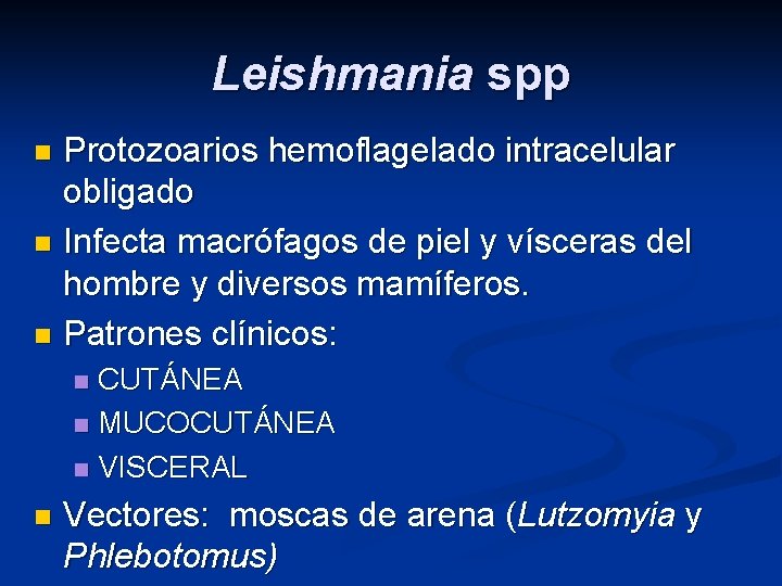 Leishmania spp Protozoarios hemoflagelado intracelular obligado n Infecta macrófagos de piel y vísceras del