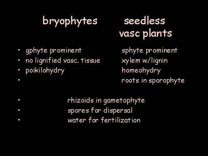 bryophytes • gphyte prominent • no lignified vasc. tissue • poikilohydry • • seedless