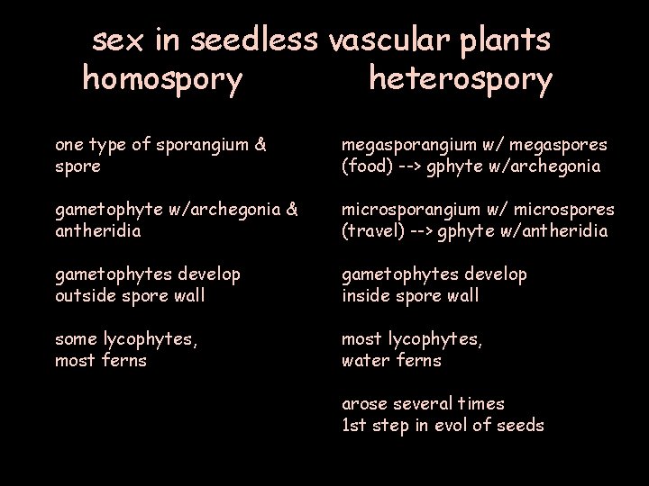 sex in seedless vascular plants homospory heterospory one type of sporangium & spore megasporangium