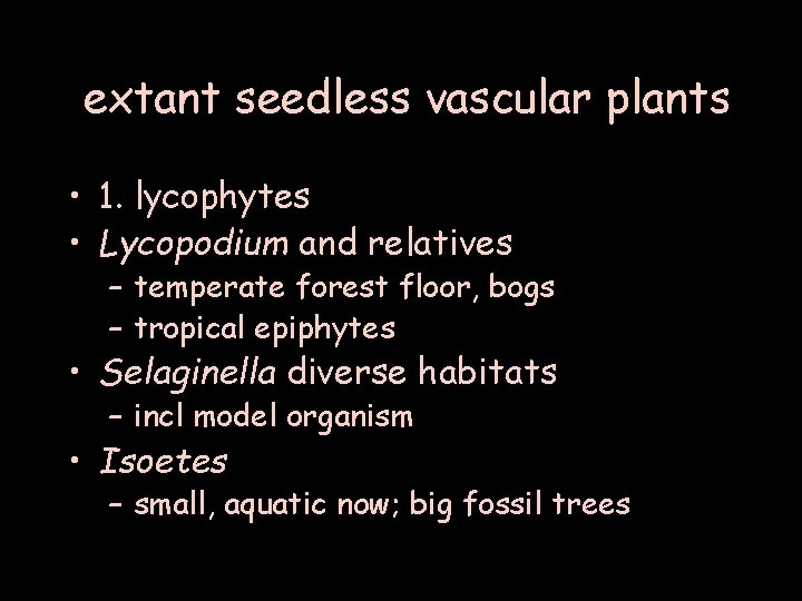 extant seedless vascular plants • 1. lycophytes • Lycopodium and relatives – temperate forest