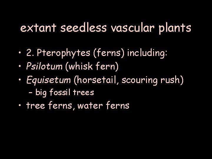 extant seedless vascular plants • 2. Pterophytes (ferns) including: • Psilotum (whisk fern) •