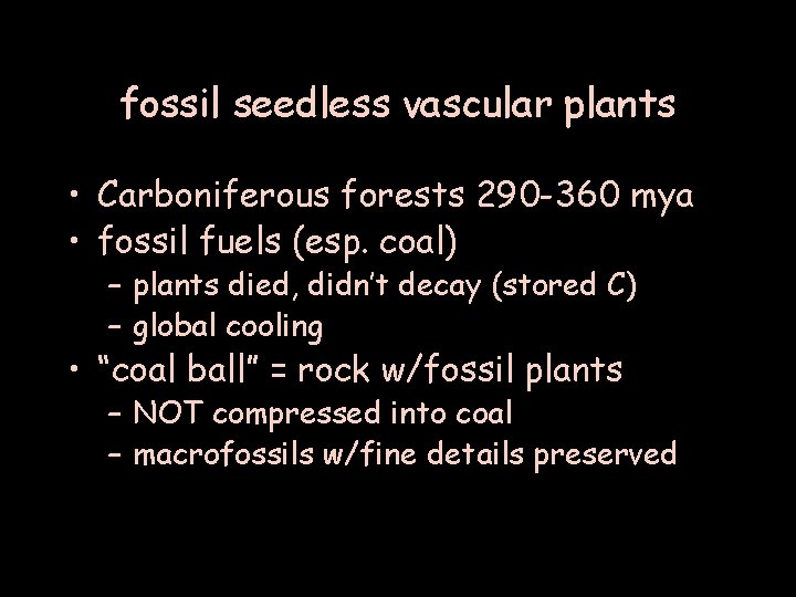 fossil seedless vascular plants • Carboniferous forests 290 -360 mya • fossil fuels (esp.