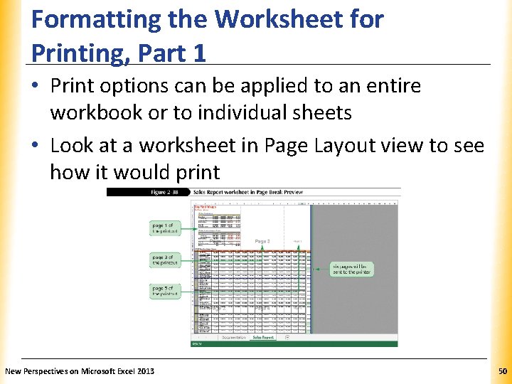 Formatting the Worksheet for Printing, Part 1 XP • Print options can be applied Formatting the Worksheet for Printing, Part 1 XP • Print options can be applied