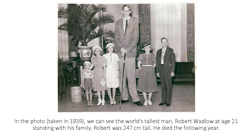 In the photo (taken in 1939), we can see the world's tallest man, Robert