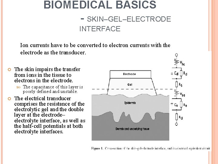 BIOMEDICAL BASICS - SKIN–GEL–ELECTRODE INTERFACE Ion currents have to be converted to electron currents