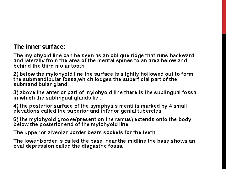 The inner surface: The mylohyoid line can be seen as an oblique ridge that