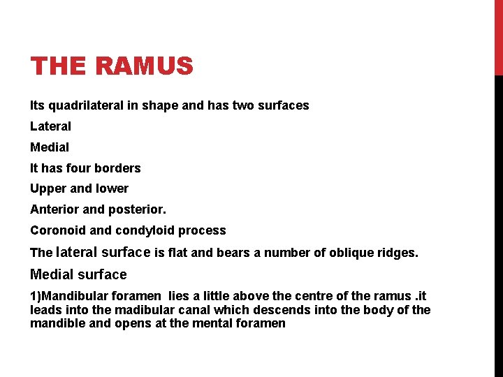 THE RAMUS Its quadrilateral in shape and has two surfaces Lateral Medial It has