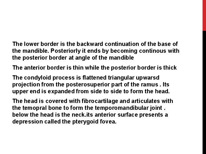 The lower border is the backward continuation of the base of the mandible. Posteriorly