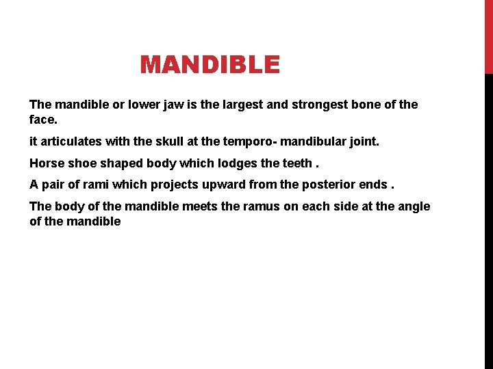 MANDIBLE The mandible or lower jaw is the largest and strongest bone of the