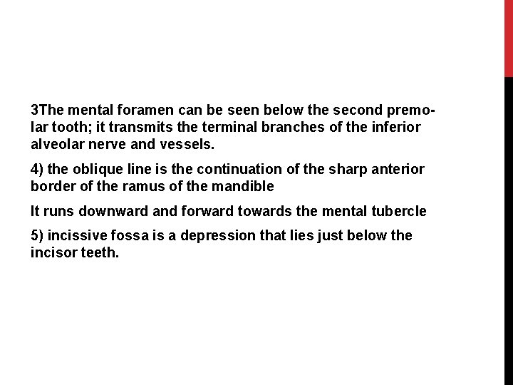 3 The mental foramen can be seen below the second premolar tooth; it transmits