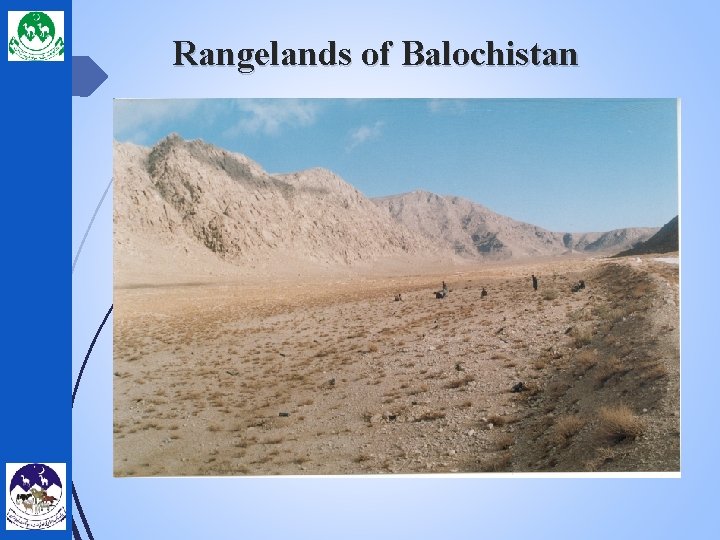 Rangelands of Balochistan 