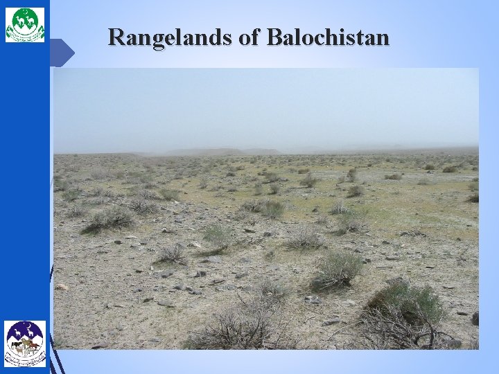 Rangelands of Balochistan 