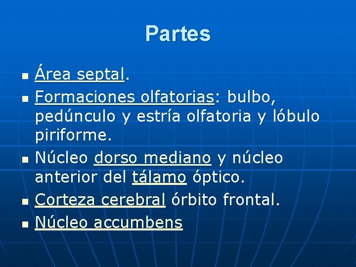 Partes n n n Área septal. Formaciones olfatorias: bulbo, pedúnculo y estría olfatoria y