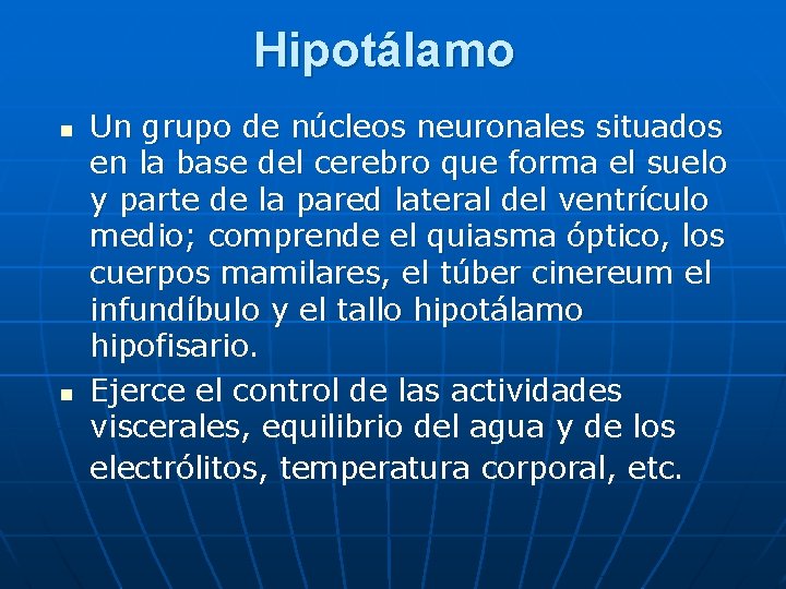 Hipotálamo n n Un grupo de núcleos neuronales situados en la base del cerebro