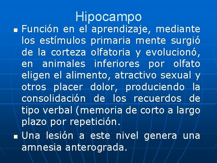 Hipocampo n n Función en el aprendizaje, mediante los estímulos primaria mente surgió de