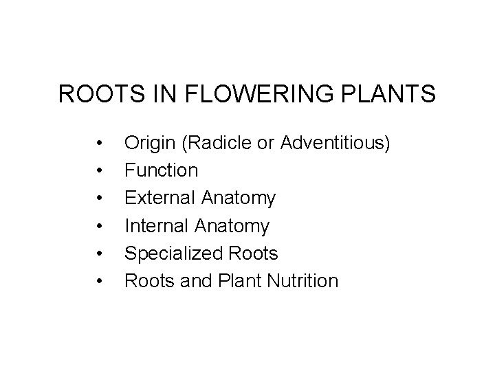 ROOTS IN FLOWERING PLANTS • • • Origin (Radicle or Adventitious) Function External Anatomy