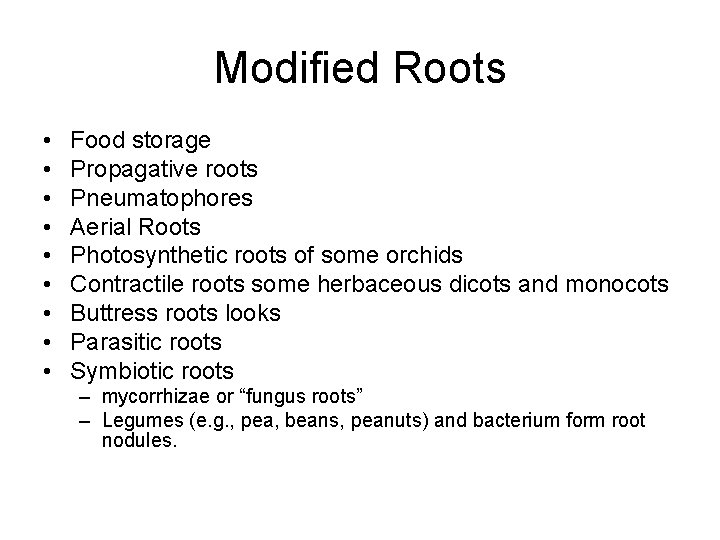 Modified Roots • • • Food storage Propagative roots Pneumatophores Aerial Roots Photosynthetic roots