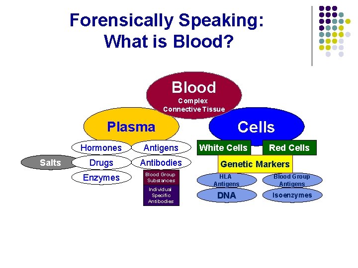Forensically Speaking: What is Blood? Blood Complex Connective Tissue Cells Plasma Salts Hormones Antigens