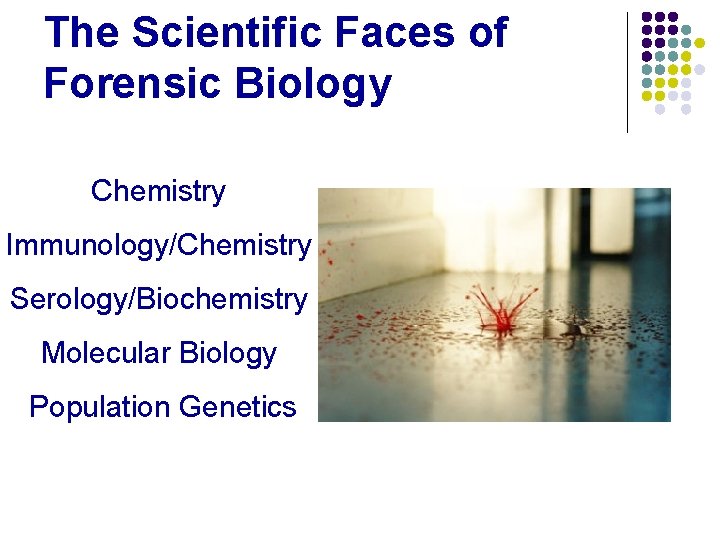 The Scientific Faces of Forensic Biology Chemistry Immunology/Chemistry Serology/Biochemistry Molecular Biology Population Genetics 