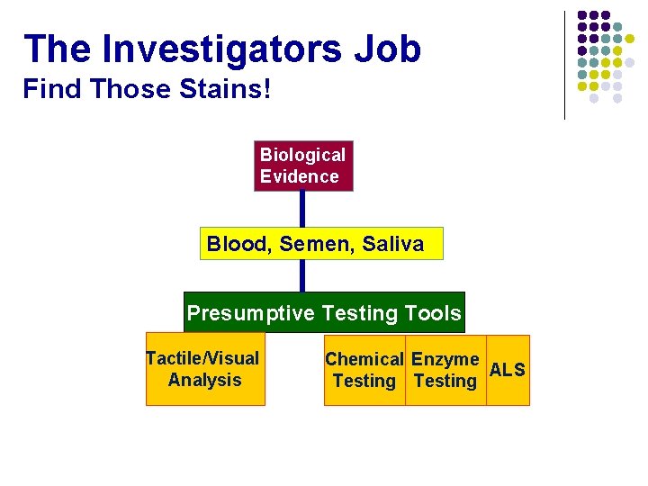 The Investigators Job Find Those Stains! Biological Evidence Blood, Semen, Saliva Presumptive Testing Tools